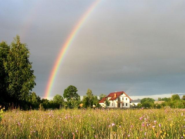 Sielankowy, naturalistyczny, pełen kolorów ogród