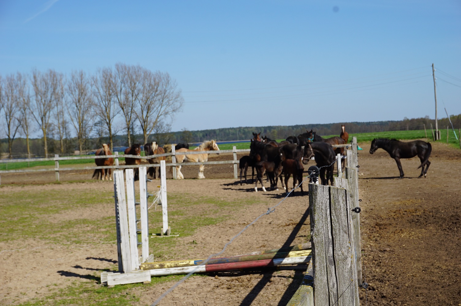 Obrazek wyróżniający artykułu - Agroturystyka w Siodle