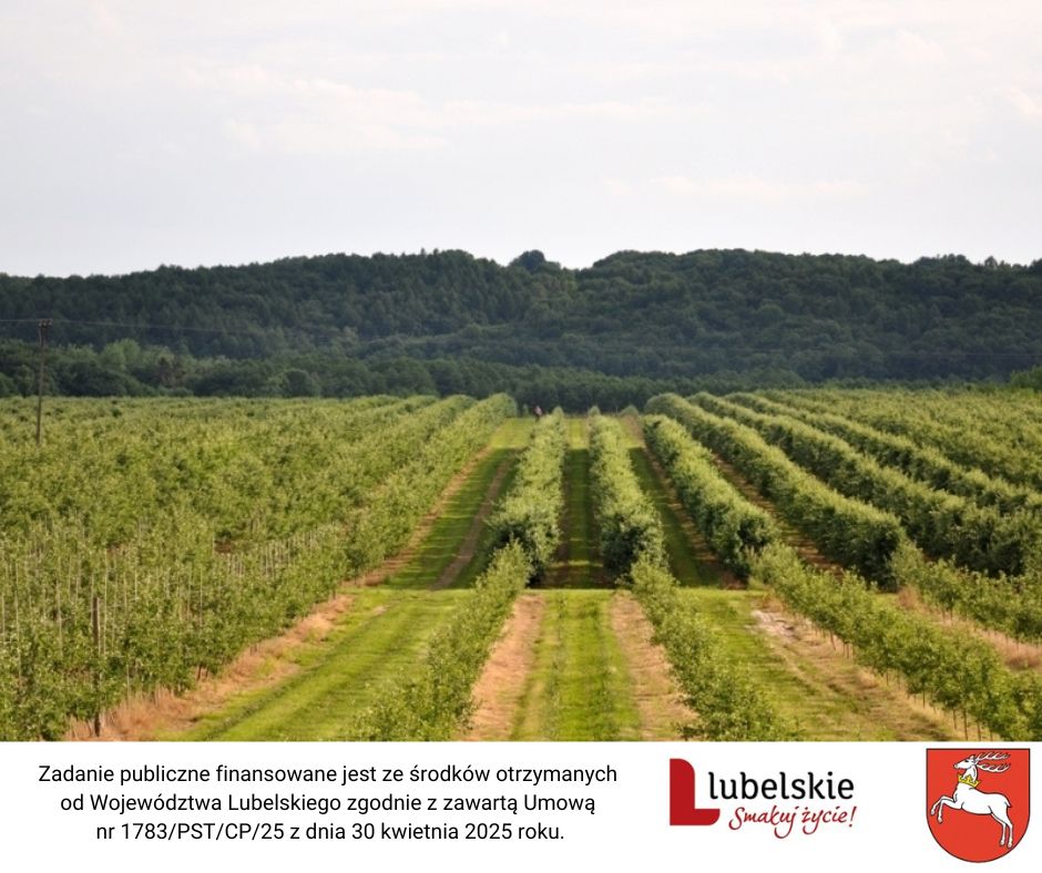 Obrazek wyróżniający artykułu - Lubelszczyzna – region, któ